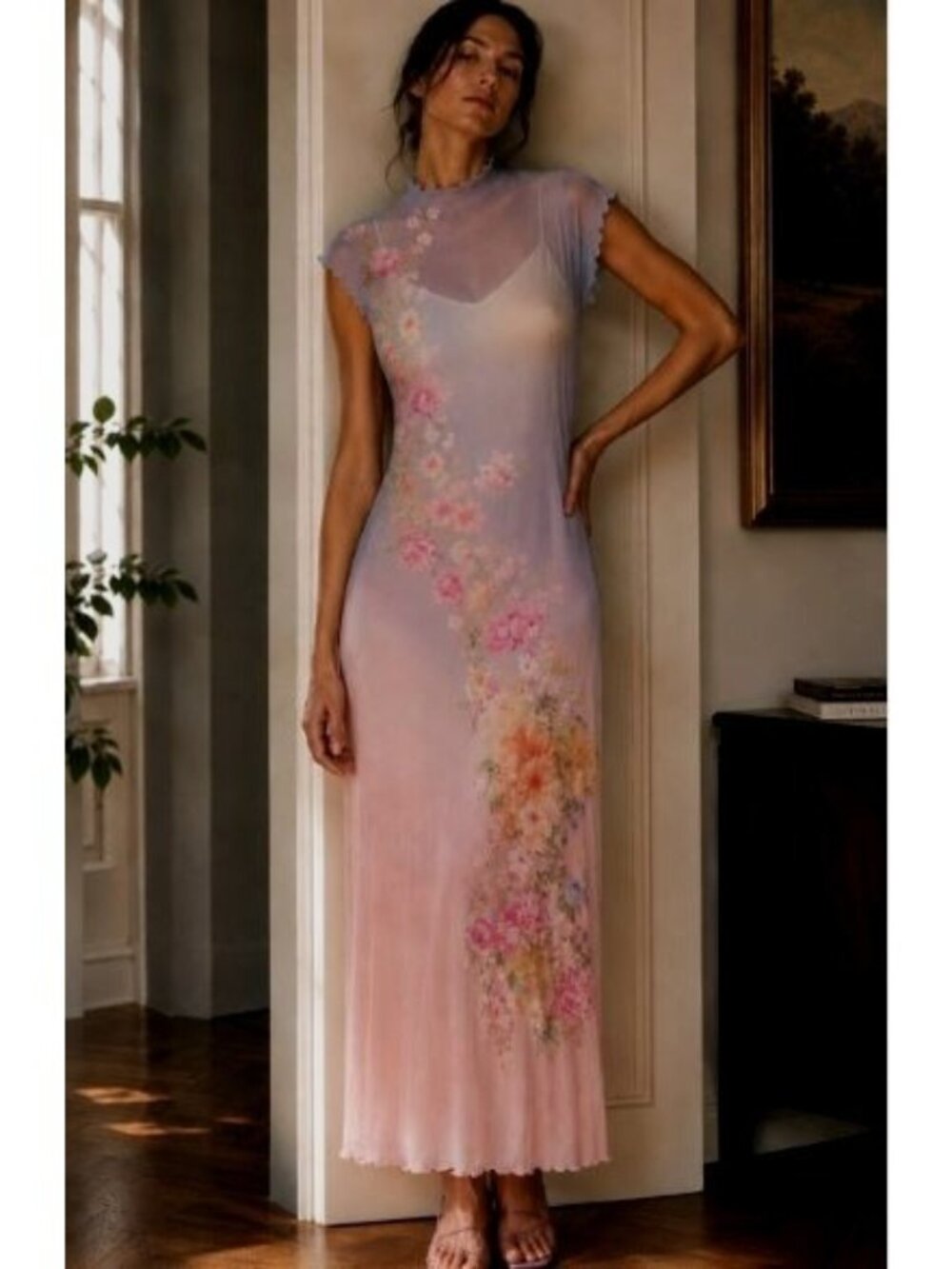 C&V Floral Mesh Maxi Dress Ombré fairycore Garden Romantic Sheer Rave Asian XL
